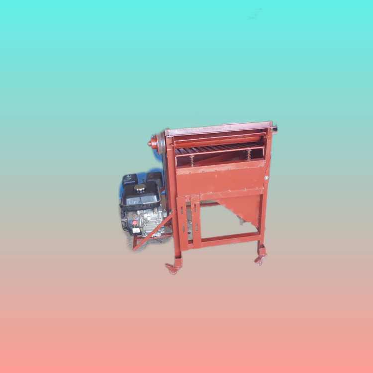 کوبنده آفتابگردان